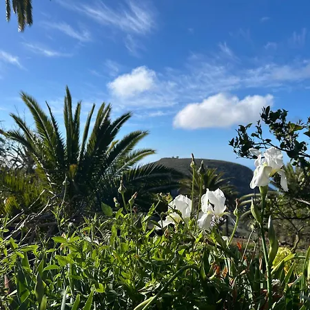 Holiday home Casa Buenavida Alajero